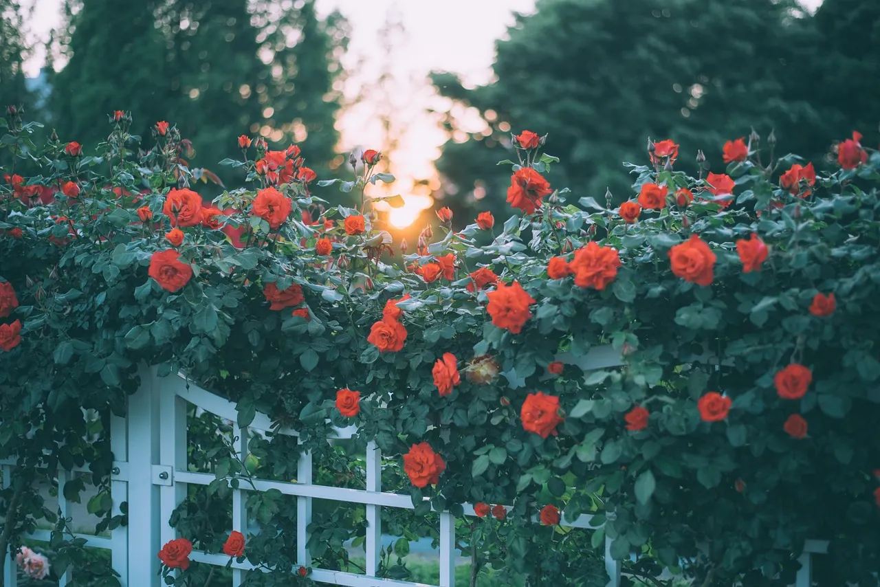 グリーン×フローラル系の香水10選｜似てる香水も合わせて紹介