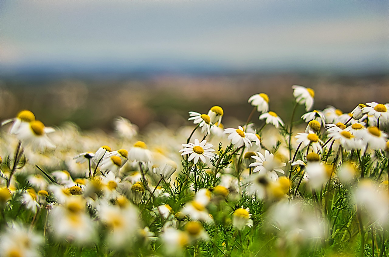 ルイ・ヴィトン「クール･バタン」に似てる香水5選