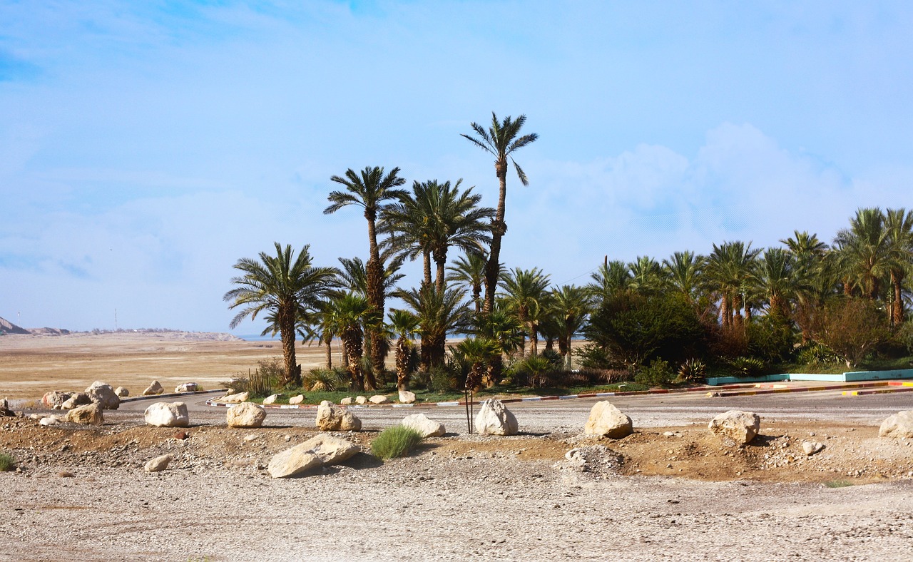 メゾン マルジェラ「アクロスサンズ（廃盤）」に似てる香水5選